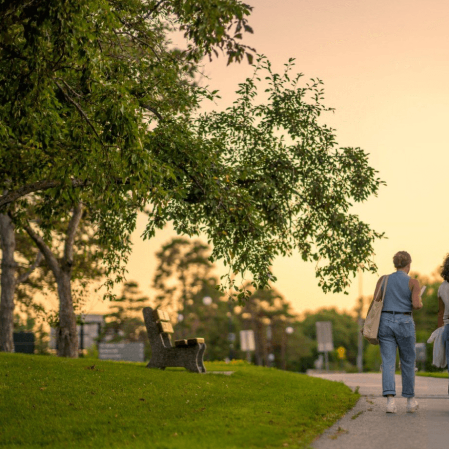 Students walking down brick steps on campus